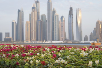 Naklejka premium aerial view of dubai