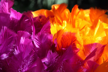 P&aring;skfj&auml;drar