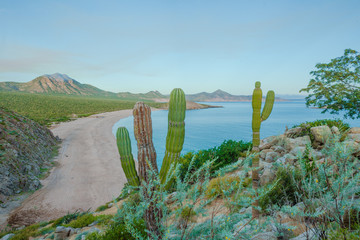 Where the desert meets the sea