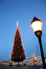 Stenbecks julgran p&aring; skeppsbron vid b&aring;ten Birger Jarl/&Aring;nedin linjen .