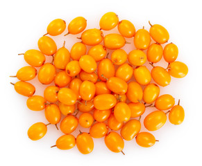 Sea buckthorn berries on white background