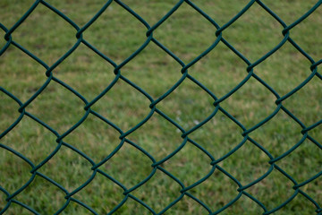 Fototapeta premium wire fence and grass