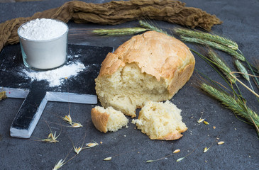White bread loaf on the dark background
