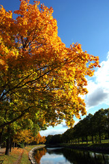 Djurg&aring;rdsbrunnskanalen p&aring; h&ouml;sten
