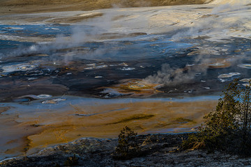 NORRIS GEYSER BASIN COLOR, Yellowstone National Park