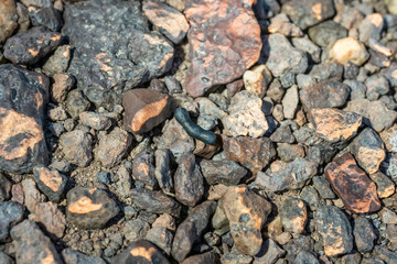 Black magnetic Tektite Meteorite as found. It is a piece of rock formed in a big asteroid collision at Atacama Desert. Amazing fusion textures over the Tektite surface because of extreme temperatures
