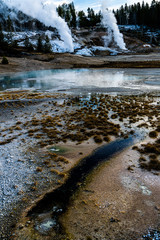 NORRIS GEYSER BASIN COLOR, Yellowstone National Park