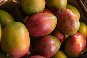 Mangoes