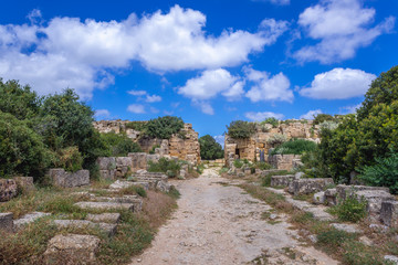 Fototapeta na wymiar Main road and gateway of acropolis in Selinunte also called Selinus - ancient city on Sicily Island in Italy