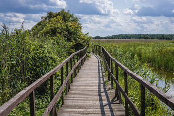 Fototapeta na wymiar Tourist wooden pathway in Narew National Park, close to the park authorities headquarters in Kurowo village, Poland