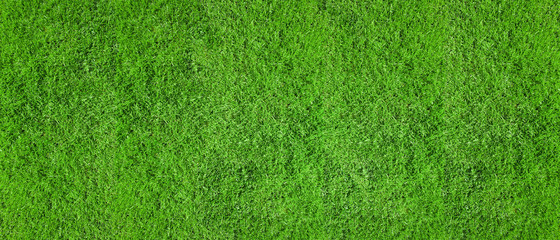 Texture of an even green lawn as a background