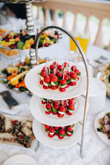 Small skewers with cheese, small tomato and basil. Buffet.