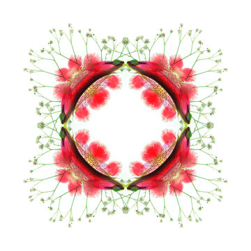 Floral frame mandala frame