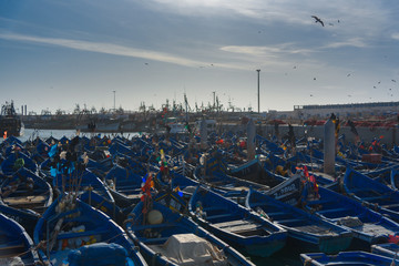 The famous blue boats in the port of Essaouira. Essaouira, Morocco.