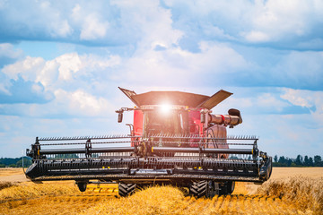 Special machine harvesting crop in fields, Agricultural technic in action. Ripe harvest concept. Crop panorama. Cereal or wheat gathering. Heavy machinery, blue sky above field