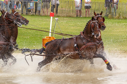 Marathonfahrt mit Viersp&auml;nner+