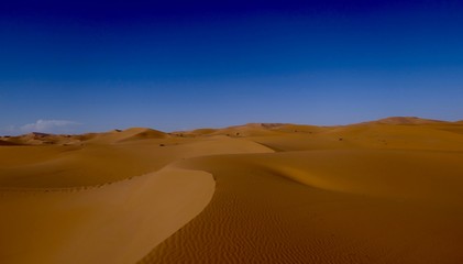 Fototapeta na wymiar Sand dune with interesting shades and texture in Sahara with deep blue sky during midday sun, Morocco, Africa