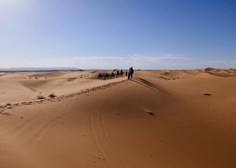 Fototapeta na wymiar Caravan with camels on sand dunes before desert landscape in Sahara during midday sun, Morocco, Africa