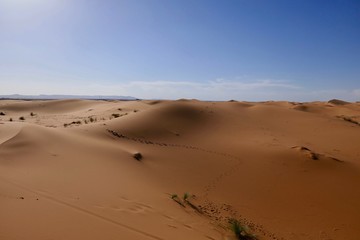 Fototapeta na wymiar Sand dune with interesting shades and traces desert landscape in Sahara during midday sun, Morocco, Africa