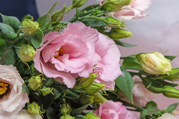 Floral holiday background of eustoma flowers. Buds and flowers of rose without thorns 