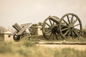 Old cannons lined up, with tubes pointing toward the sky.