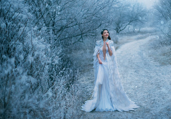 Young Happy Lady Snow Queen walk travel outdoor. Creative cozy outfit medieval clothing cape with feathers. Smile face. Frosty view snowy scene. xmas new year celebration holiday magic fantasy concept