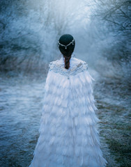 young adult Snow Queen walks ball. Artistic snowy photo shoot. Winter landscape. scene ice cold...