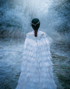 young adult Snow Queen walks ball. Artistic snowy photo shoot. Winter landscape. scene ice cold trees covered frozen branches frost. Lady turned away, back train. Creative royal clothes birds feathers