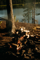 Fototapeta na wymiar sunset in the forest picnic fire