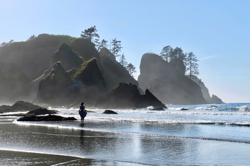 Woman walking on beach with sea stack rocks in fog. Summer  travel on Olympic Peninsula. Forks. La...