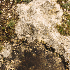 background of dry soil