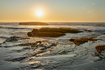 Fototapeta na wymiar An amazing view of the sunset over the water in the Chilean coast. An idyllic beach scenery with the sunlight illuminating the green algae and rocks with orange tones and the sea in the background 