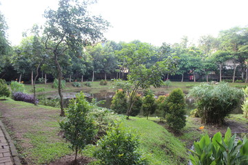 Fototapeta na wymiar Landscape in the garden city in east Jakarta