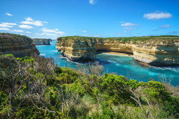 mutton bird island, great ocean road in victoria, australia