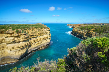 Fototapeta premium mutton bird island, great ocean road in victoria, australia