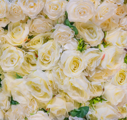 Rose beautiful yellow flowers for background interior decoration concept wedding lover valentine day