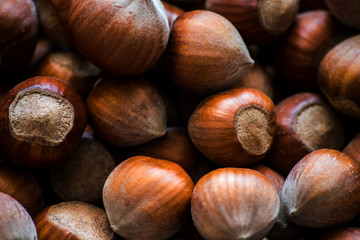 hazelnut background. food photo concept