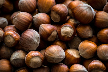 tasty hazelnuts photo backgraund