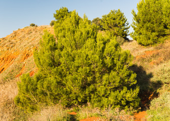 Lake of Bauxite della Cava in Puglia Italy