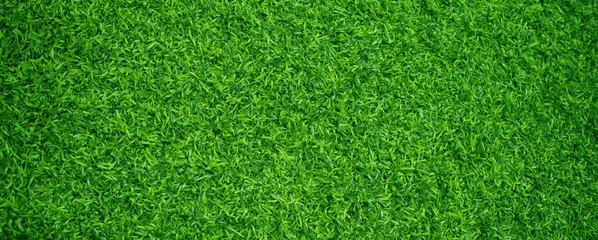 Plakat green grass background, football field