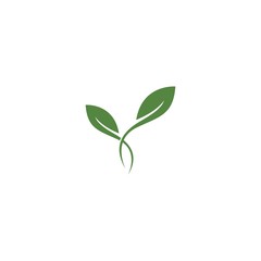 Green leaf logo