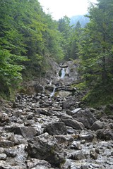 Potok w dolinie Białego, Zakopane, Polska