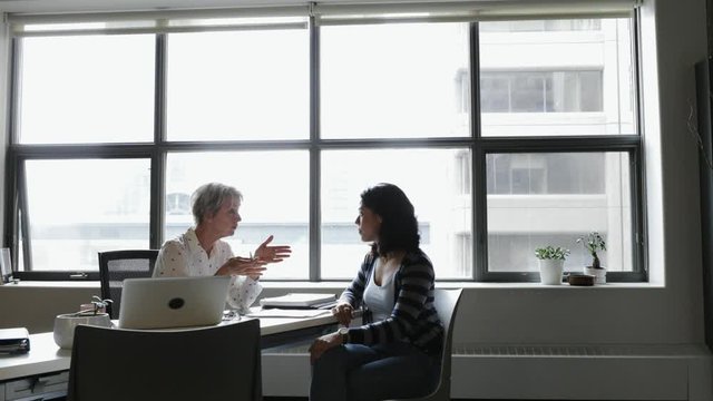 Female counselor talking with client in office