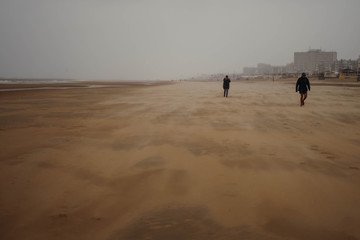 people walking on the beach at sunset