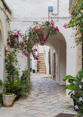 charming street and passageway with flowers in Italy