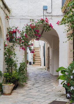 Charming Street And Passageway With Flowers In Italy