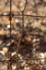 Page Wire Fence in Fall