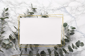 Eucalyptus twigs on marble table with blank paper page with geometric gold frames. Minimal concept....
