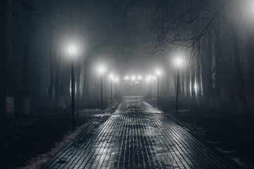 Autumn city park at night in fog