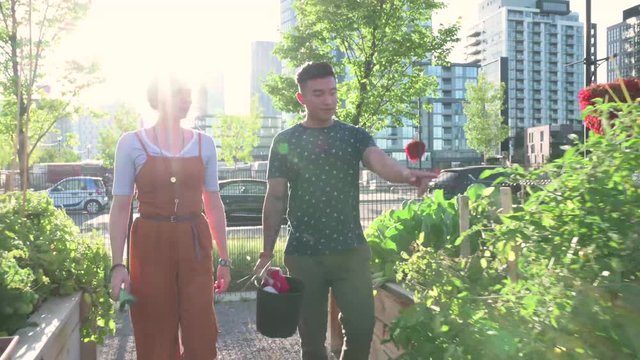 Young couple walking in sunny urban community garden
